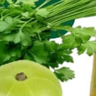 Fresh coriander leaves