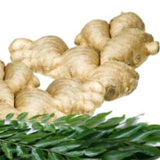 Fresh ginger root